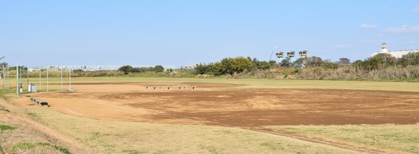 DSC_0061 (2)