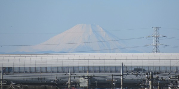 IMG_2723 (2)