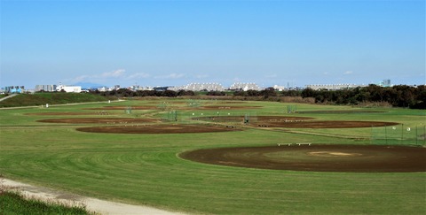 IMG_8396 (3)