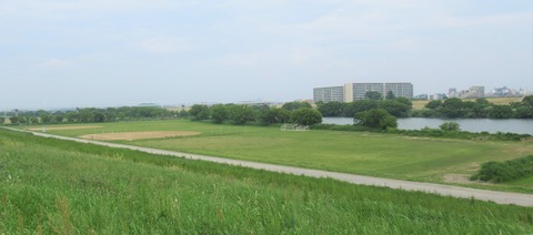 IMG_5265 (2)