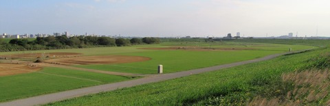 IMG_3906 (2)