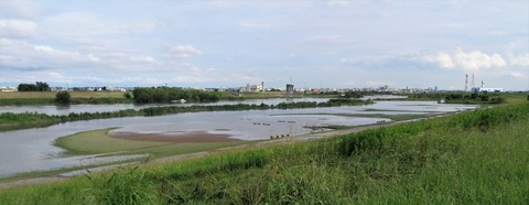 IMG_1033 (2)