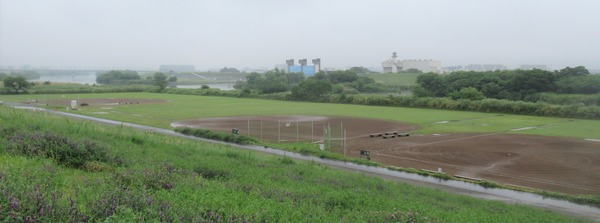 IMG_3597 (2)
