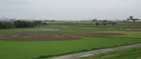 IMG_2825 (2)