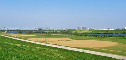 IMG_4585 (2)