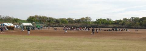 DSC_0105 (2)