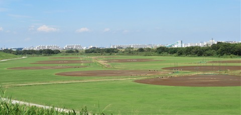 IMG_3463 (2)