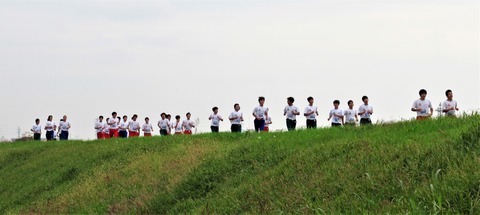 IMG_8713 (2)