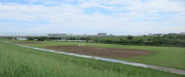 IMG_3435 (2)