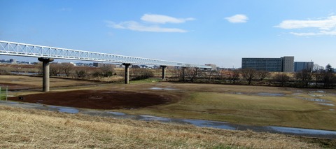 IMG_3521 (2)