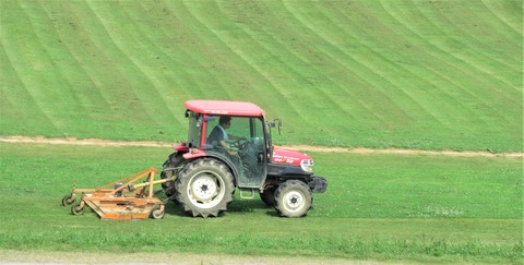 IMG_6765 (2)