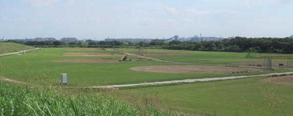 IMG_8253 (2)
