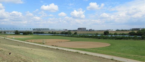IMG_1239 (2)