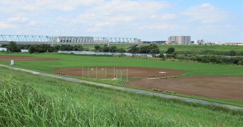 IMG_2393 (2)
