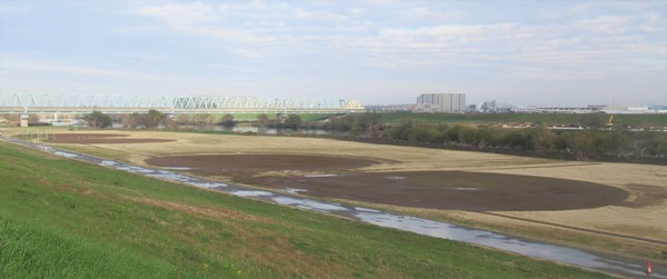 IMG_2699 (2)