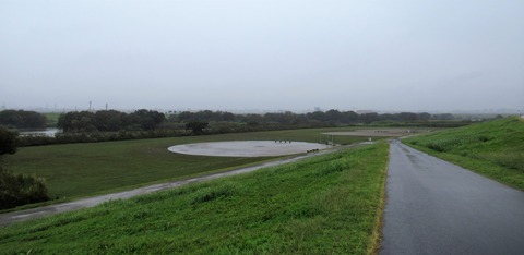 IMG_0430 (2)