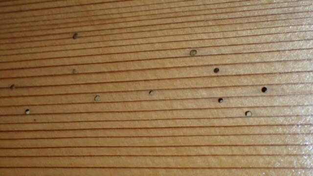 難防除 リメマネ Vs ペストくん 難防除 リメマネ Vs ペストくん