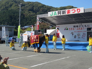 H27年10月あしん矢掛農業祭 443