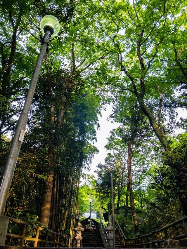 彼女も嫁もいないからGWに行った神社の写真を貼ってく