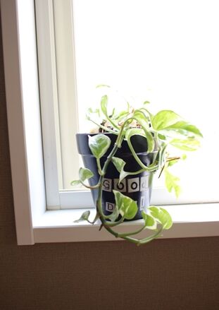 ハンギンググリーン植え替え祭り ３人息子の母です