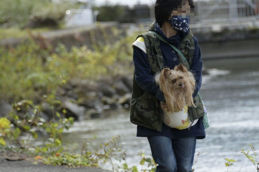 十和田八幡平国立公園「①十和田湖の散策（青森県・十和田市）」妻と