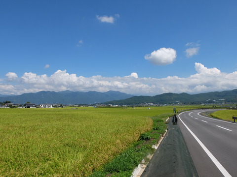 DSCF5895