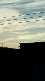 94585d19.jpg