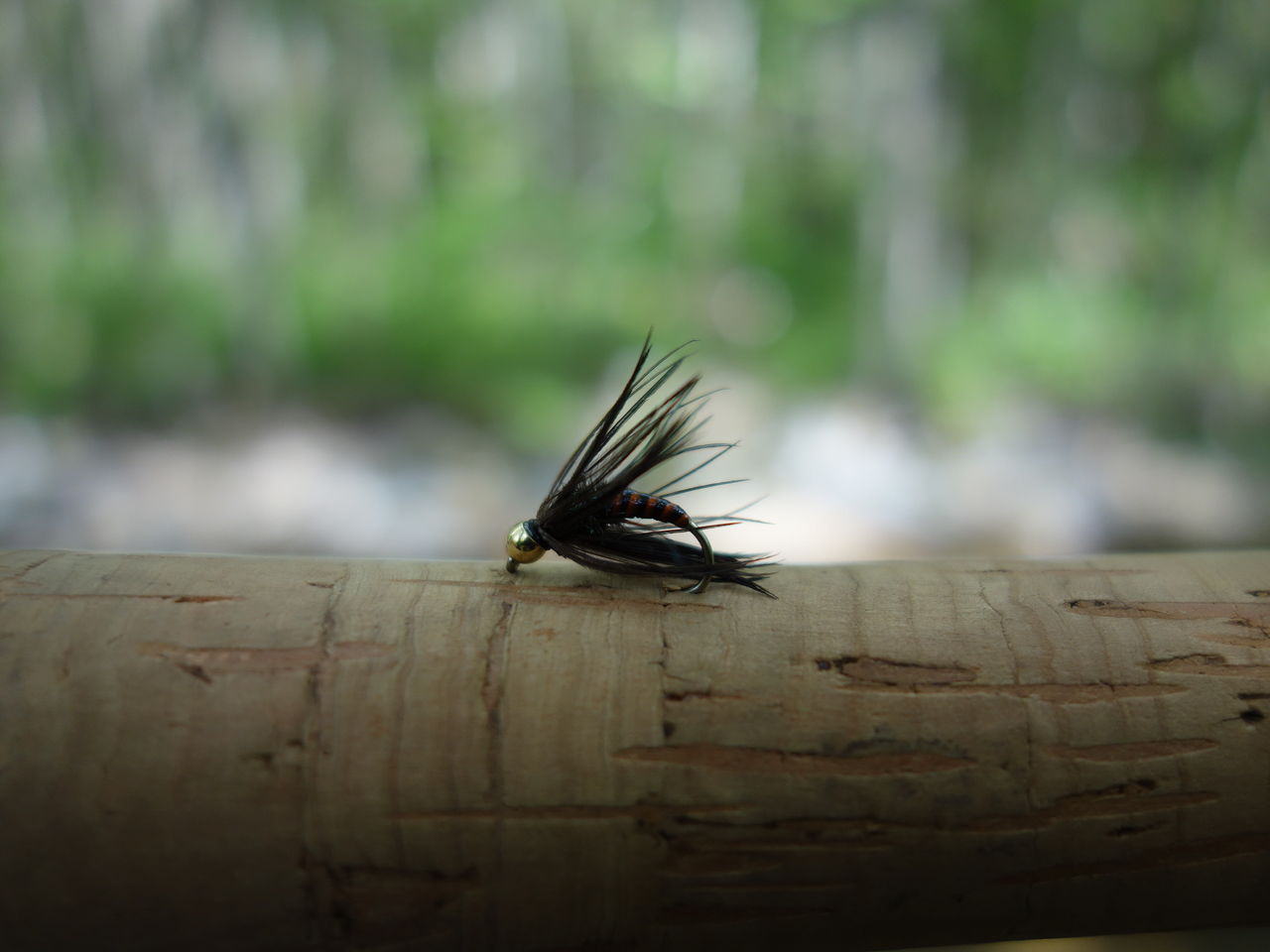 今年初のテンカラ釣り 明日こそ頑張ろう 週末山暮らし