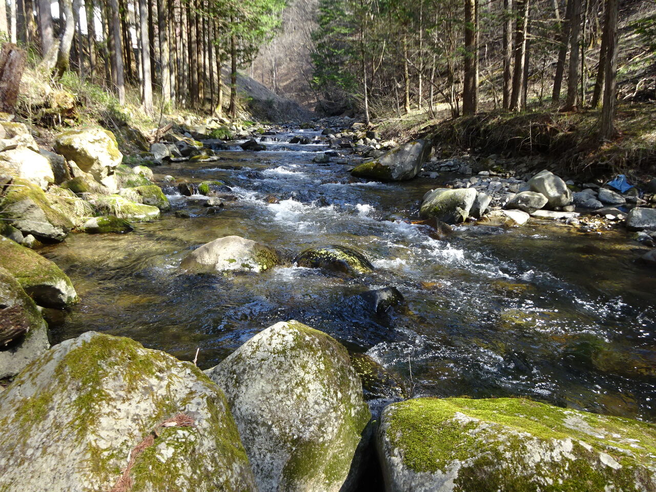 やっぱ餌釣り 明日こそ頑張ろう 週末山暮らし やっぱ餌釣り 明日こそ頑張ろう 週末山暮らし
