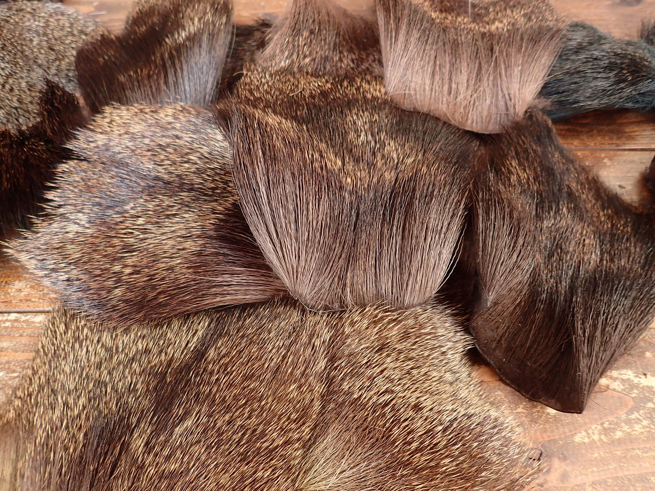 エゾシカ 冬毛 ナチュラルとダイド 販売 Hokkaido deer hair for エゾシカ 冬毛 ナチュラルとダイド 販売 Hokkaido deer hair for