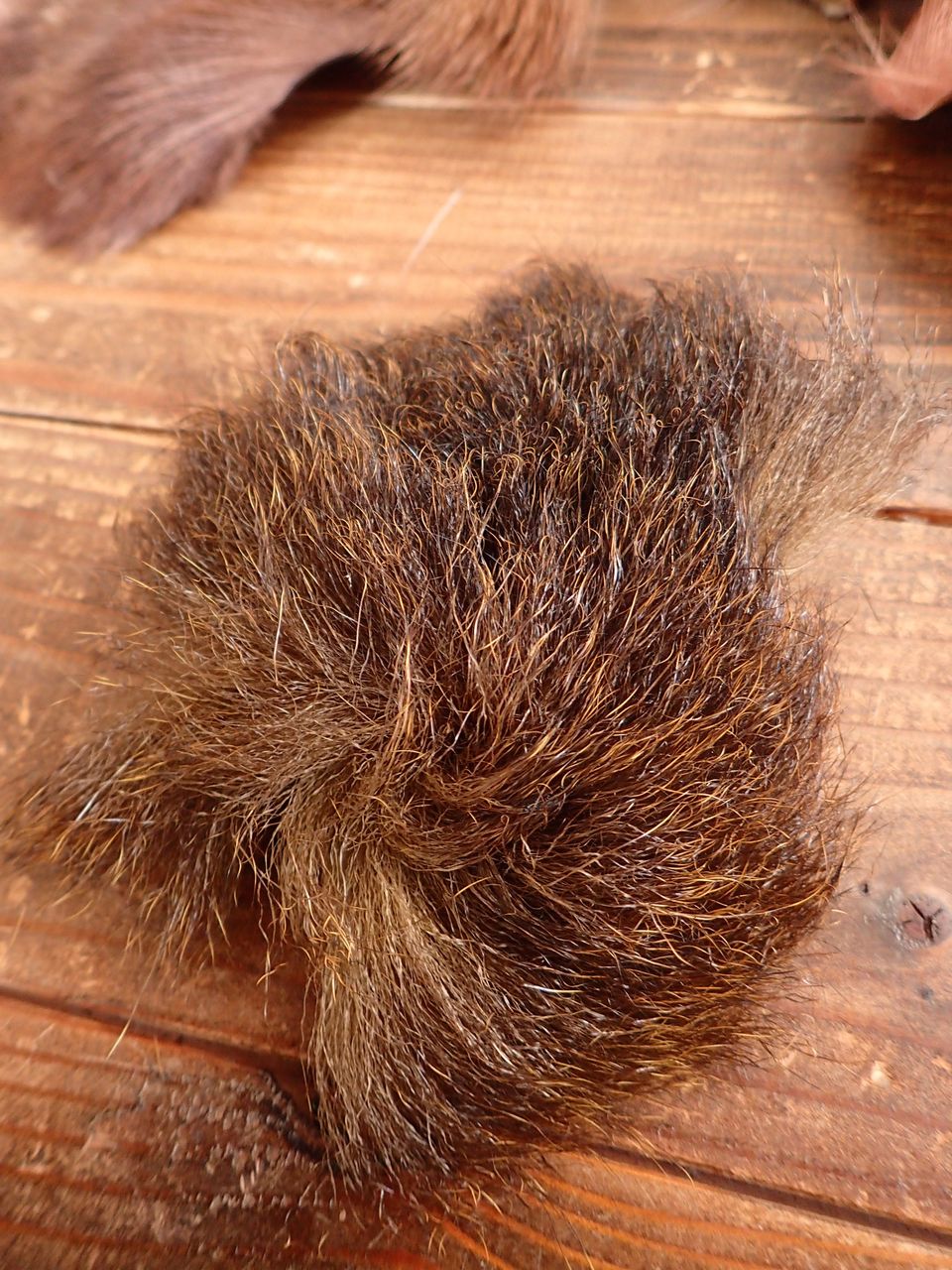 エゾシカ　毛皮（冬毛） 鹿毛皮（冬毛）の画像見本です。