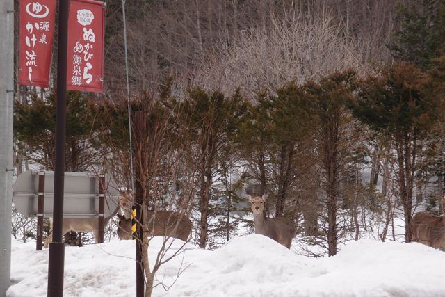 最後の鹿撃ち Last Deer Hunting Lodge Lucky Field ロッジラッキーフィールド