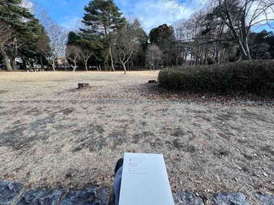 ���ͥץ�å����Ĥ���