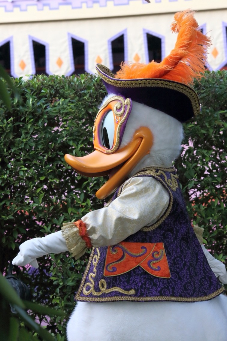 Hkdl 14 黛絲朋友見面 香港デイジー グリーティング 白い仔猫と赤いりぼん