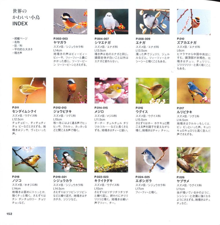 思わぬ誕生日プレゼント 山麓19のブログ 思わぬ誕生日プレゼント 山麓19のブログ