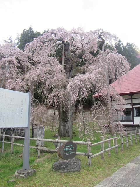 永泉寺正面玄関