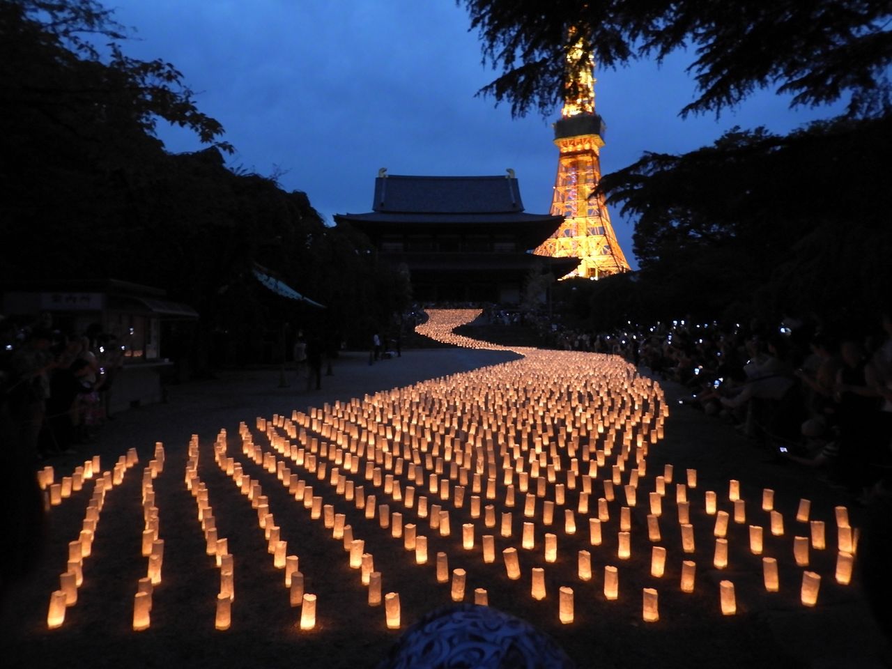 芝 増上寺の七夕 天の川 ぷらっとくんのブログ 芝 増上寺の七夕 天の川 ぷらっとくんのブログ