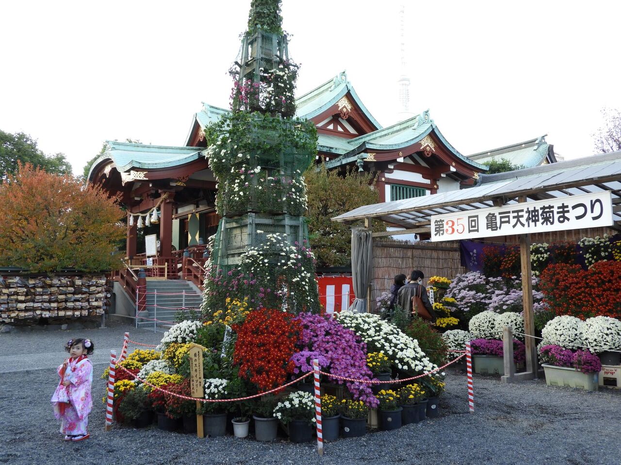 亀戸天神の菊祭り ぷらっとくんのブログ