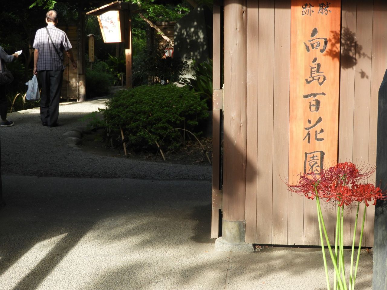 向島百花園の彼岸花と萩のトンネル ぷらっとくんのブログ