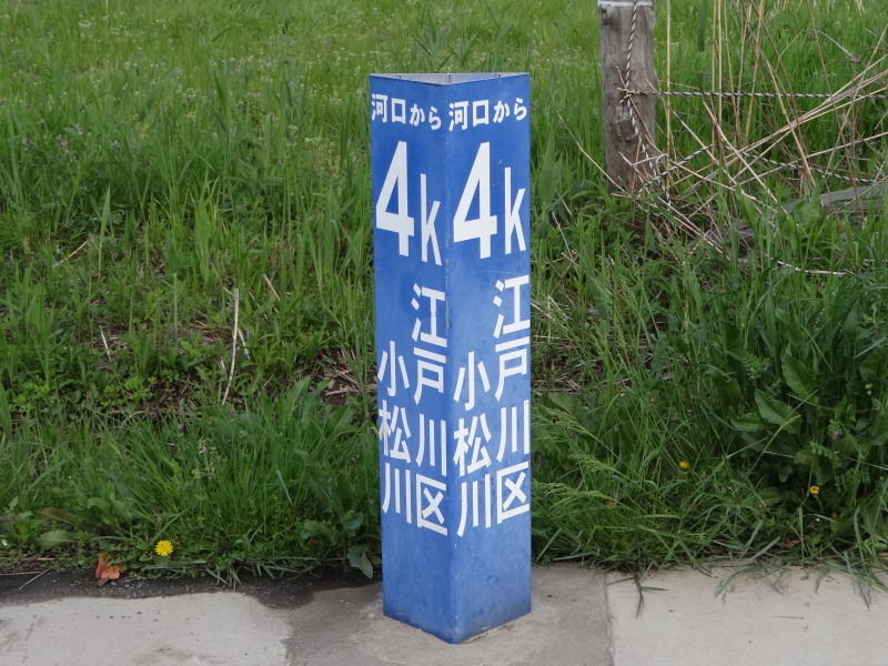大島小松川公園の八重桜 普賢象 ぷらっとくんのブログ