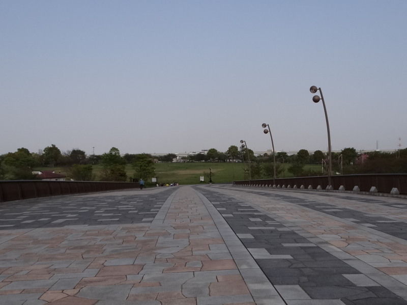 大島小松川公園の八重桜 普賢象 ぷらっとくんのブログ