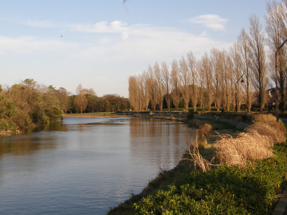 元渕江公園