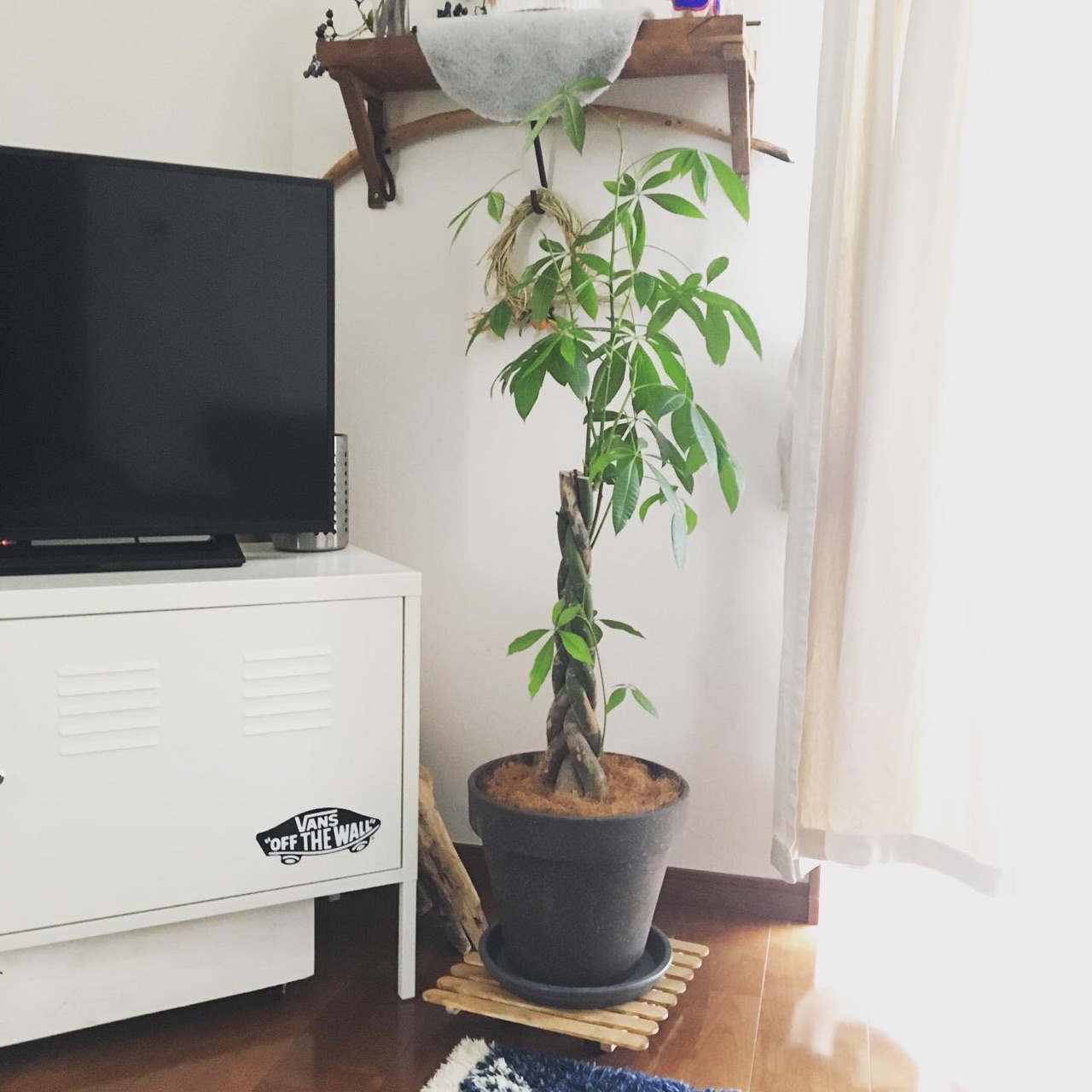 ダイソーのゴールドスプレーを使ってリメ鉢を作りました Sansankikiのマイホームdiy