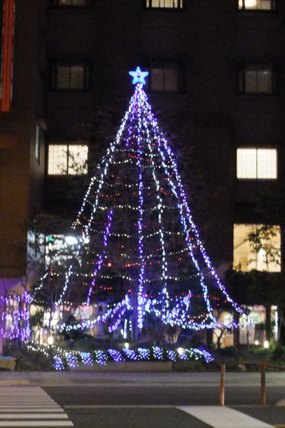 三泉閣のクリスマスツリー