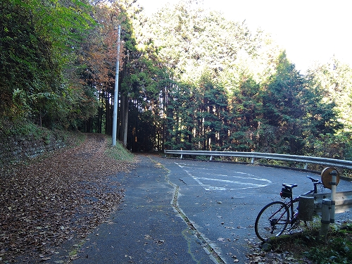 DSCN6066