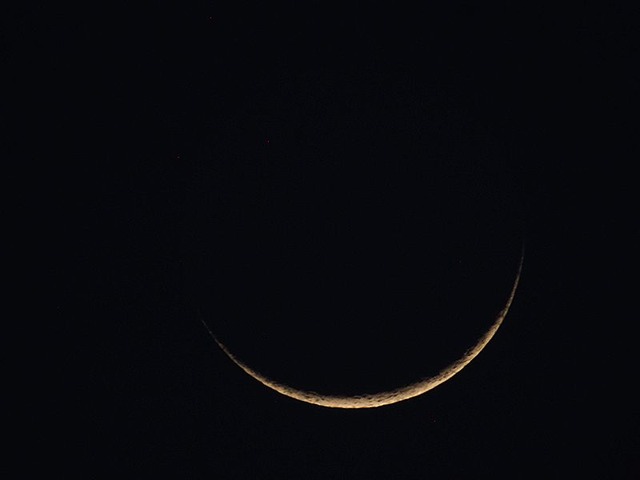 260219P2190011