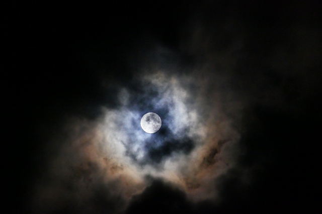 230929P0895