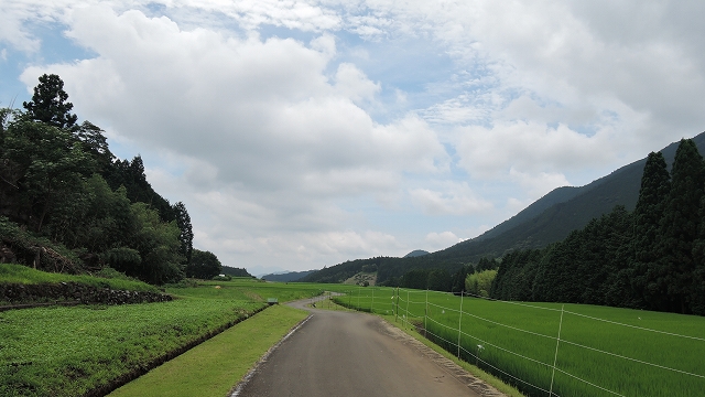 DSCN2509