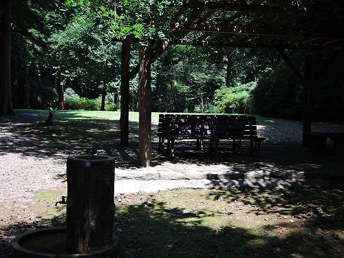 DSCN3415