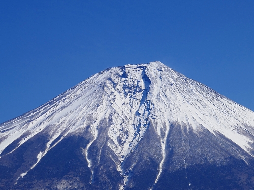 P1000557